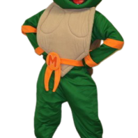 Orange Turtle